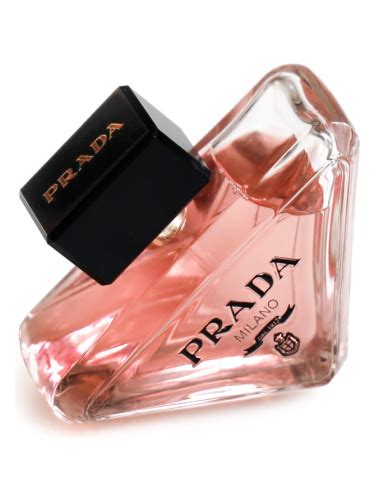 fragrantica prada milano